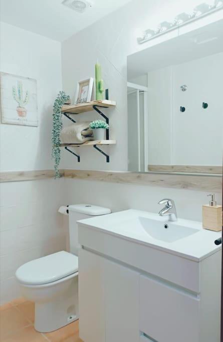 Rincon Del Delta, Apartamento En El Delta Del Ebro, Playa Trabucador Amposta, Tarragona L'Eucaliptus Exteriör bild