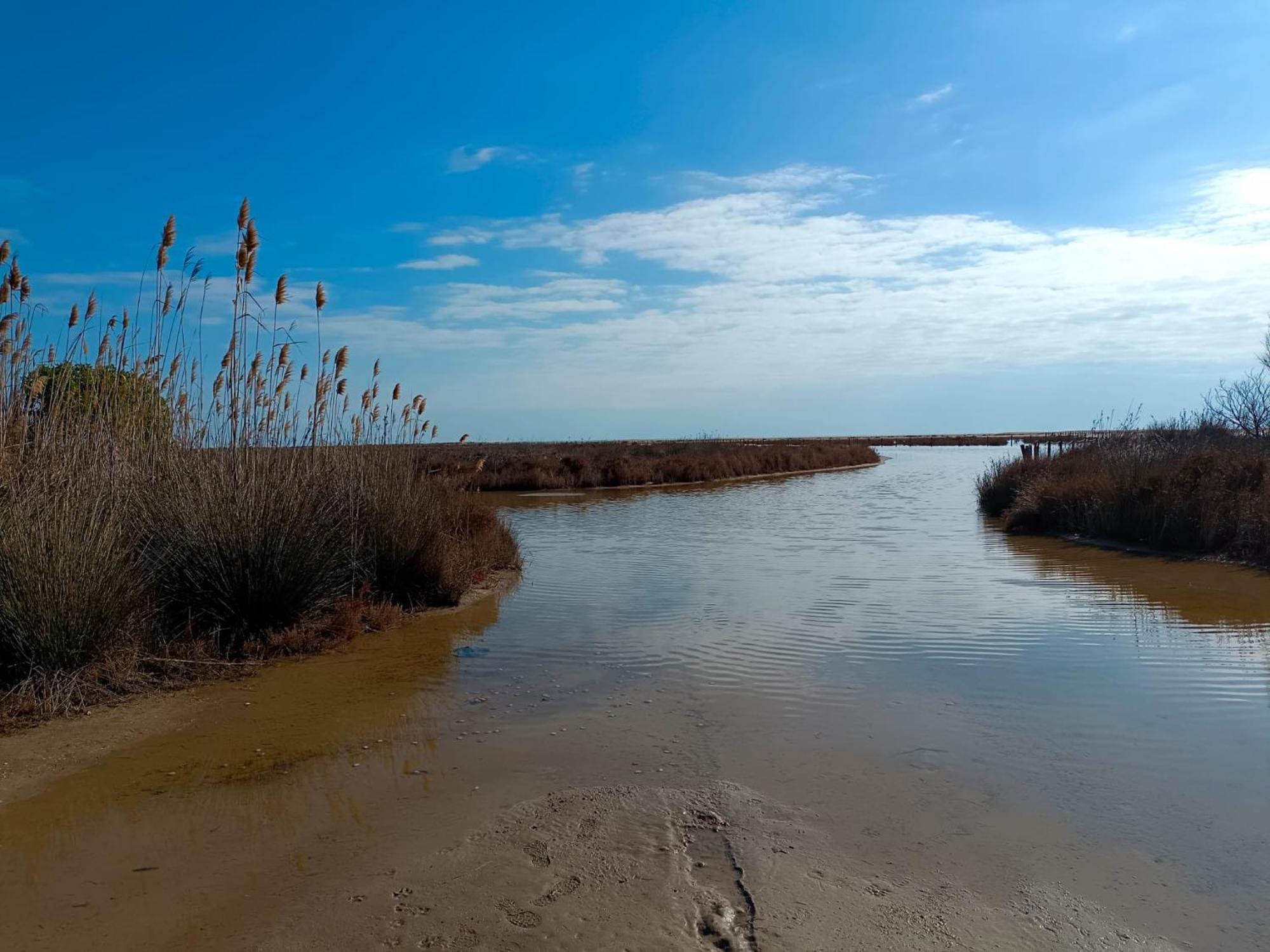 Rincon Del Delta, Apartamento En El Delta Del Ebro, Playa Trabucador Amposta, Tarragona L'Eucaliptus Exteriör bild