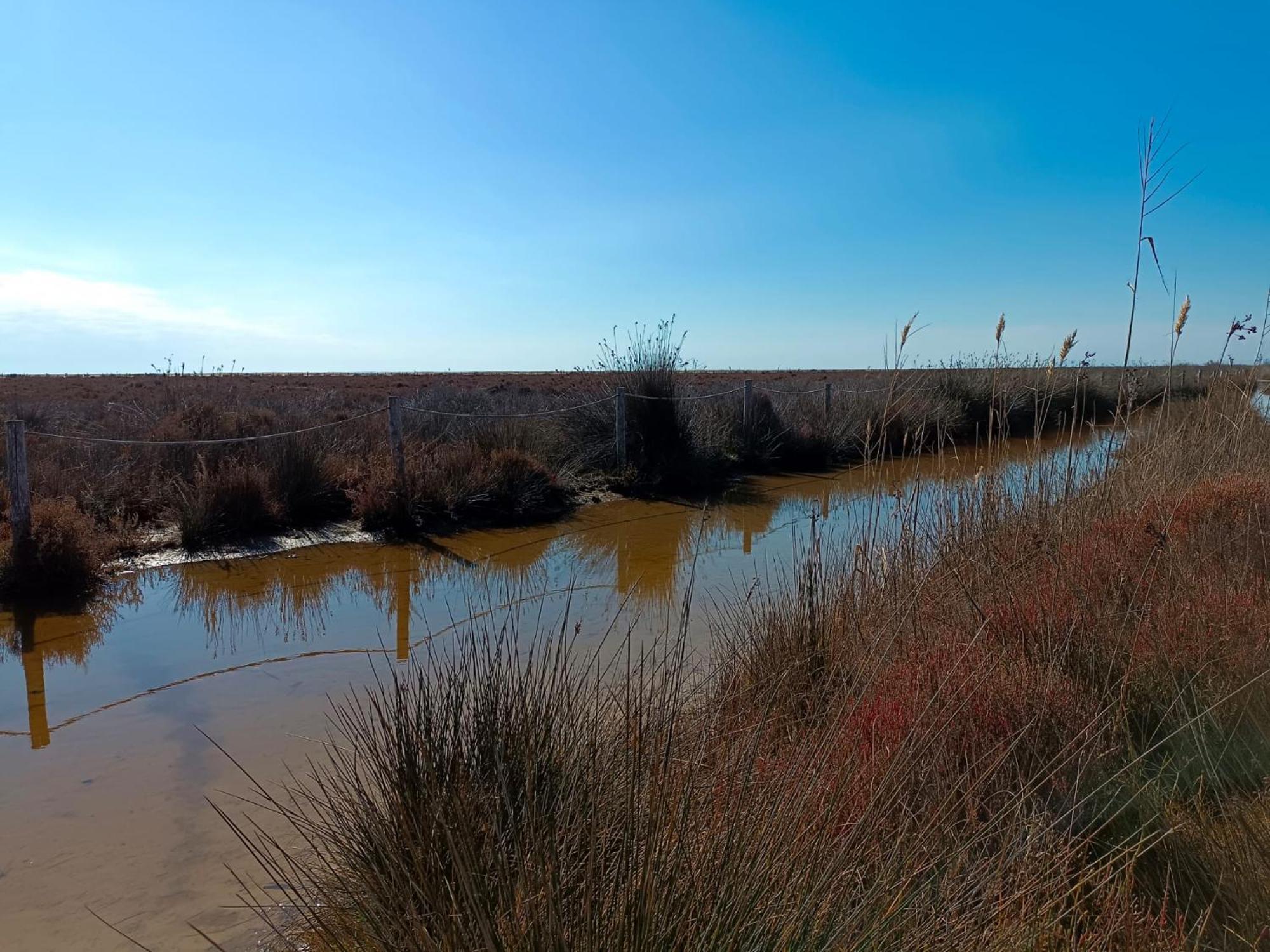 Rincon Del Delta, Apartamento En El Delta Del Ebro, Playa Trabucador Amposta, Tarragona L'Eucaliptus Rum bild